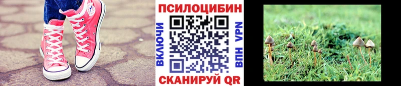 Галлюциногенные грибы мухоморы  Купить  Павловский Посад 